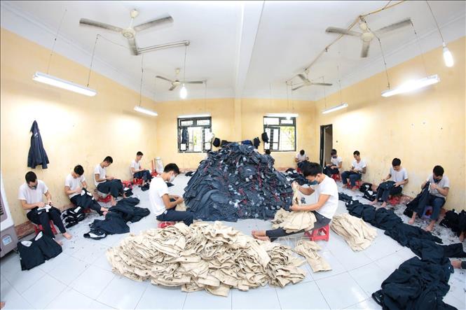 Trong ảnh: Các hoạt động lao động trị liệu cho các học viên tại Cơ sở điều trị nghiện ma túy tỉnh Hưng Yên. Ảnh: Anh Tuấn – TTXVN
