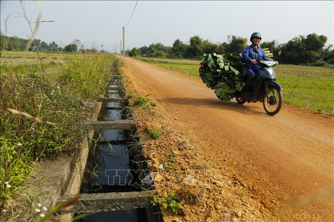 Trong ảnh: Hệ thống kênh mương nội đồng được bê tông hóa. Ảnh: Nam Sương - TTXVN
