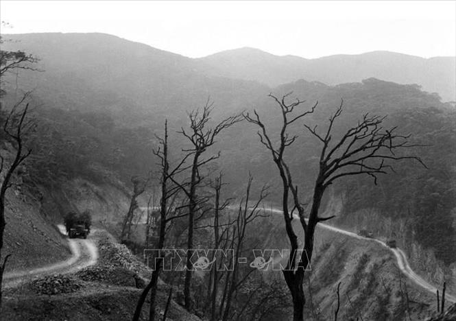 22. Đường Hồ Chí Minh: Suốt 16 năm ròng rã (1959 - 1975), vượt qua muôn vàn gian khổ, hy sinh, bộ đội Trường Sơn đã xây dựng và phát triển con đường Trường Sơn - đường Hồ Chí Minh 