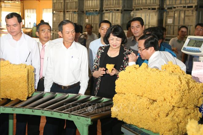 Trong ảnh: Phó Chủ tịch nước Đặng Thị Ngọc Thịnh và đoàn công tác thăm nhà máy chế biến mủ cao su của Tổng Công ty Cao su Đồng Nai. Ảnh: Sỹ Tuyên – TTXVN