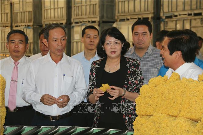 Trong ảnh: Phó Chủ tịch nước Đặng Thị Ngọc Thịnh và đoàn công tác thăm nhà máy chế biến mủ cao su của Tổng Công ty Cao su Đồng Nai. Ảnh: Sỹ Tuyên - TTXVN