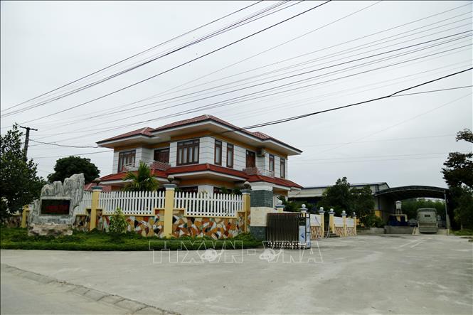 Trong ảnh: Hợp tác xã Mật ong Phong Thổ (xã An Khang, thành phố Tuyên Quang). Ảnh: Nam Sương – TTXVN