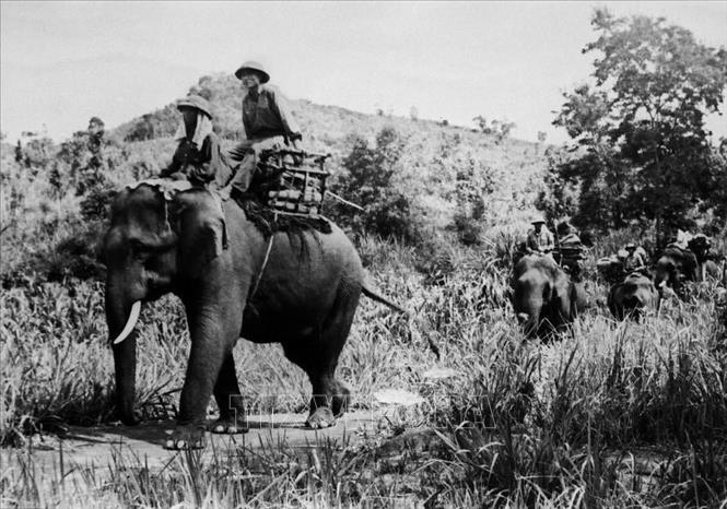 18. Năm 1975, khi thời cơ chiến lược xuất hiện, nhờ có nhân dân tích cực chuẩn bị chiến trường, phối hợp chiến đấu, quân đội có điều kiện tiến công thần tốc, thực hiện trận quyết chiến chiến lược trong cuộc Tổng tấn công và nổi dậy mùa Xuân 1975 mà đỉnh cao là chiến dịch Hồ Chí Minh lịch sử, giải phóng hoàn toàn miền Nam, thống nhất đất nước. Trong ảnh: Bộ đội vận tải thuộc đơn vị 250 (Gia Lai) chuyển lương thực, vũ khí ra chiến trường trong chiến dịch Tây Nguyên. Ảnh: Anh Tôn - TTXVN