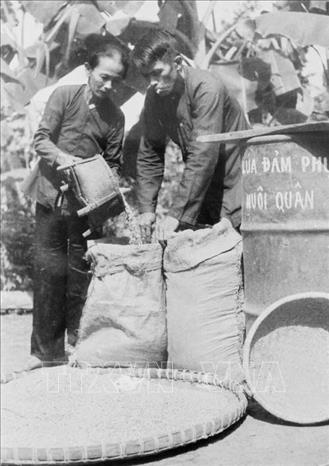 18. Năm 1975, khi thời cơ chiến lược xuất hiện, nhờ có nhân dân tích cực chuẩn bị chiến trường, phối hợp chiến đấu, quân đội có điều kiện tiến công thần tốc, thực hiện trận quyết chiến chiến lược trong cuộc Tổng tấn công và nổi dậy mùa Xuân 1975 mà đỉnh cao là chiến dịch Hồ Chí Minh lịch sử, giải phóng hoàn toàn miền Nam, thống nhất đất nước. Trong ảnh: Gia đình một nông dân ở xã Ân Phong, huyện Hoài Ân, tỉnh Bình Định ủng hộ lúa cho cách mạng, góp phần nuôi quân chiến đấu. Ảnh: Thành Vinh - TTXVN