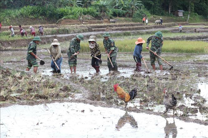 Bộ đội Đồn biên phòng A Xan hướng dẫn nhân dân huyện biên giới miền núi Tây Giang, tỉnh Quảng Nam cách làm ruộng để cấy lúa nước, định cư ổn định cuộc sống. Ảnh: Anh Tuấn – TTXVN