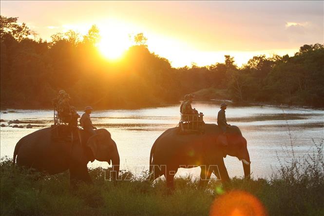 Xây dựng thực lực, tiềm lực quốc phòng; xây dựng lực lượng vũ trang nhân dân vững mạnh, có sức chiến đấu cao, làm nòng cốt bảo vệ Tổ quốc. Trong ảnh: Lực lượng trinh sát Bộ đội Biên phòng tỉnh Đắk Lắk tuần tra tại khu vực sông Sêrêpốk. Ảnh: Dương Giang - TTXVN
