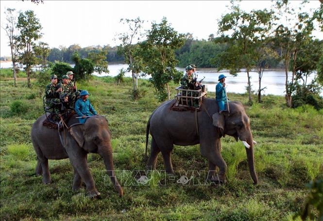 Xây dựng thực lực, tiềm lực quốc phòng; xây dựng lực lượng vũ trang nhân dân vững mạnh, có sức chiến đấu cao, làm nòng cốt bảo vệ Tổ quốc. Trong ảnh: Bộ đội Biên phòng Đắk Lắk tuần tra biên giới tại khu vực sông Sêrêpốk. Ảnh: Dương Giang - TTXVN