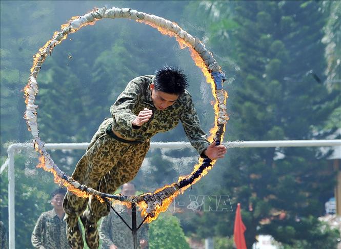 Xây dựng thực lực, tiềm lực quốc phòng; xây dựng lực lượng vũ trang nhân dân vững mạnh, có sức chiến đấu cao, làm nòng cốt bảo vệ Tổ quốc. Trong ảnh: Chiến sĩ Lữ đoàn Đặc công 113 (Binh chủng Đặc công) luyện tập bài 