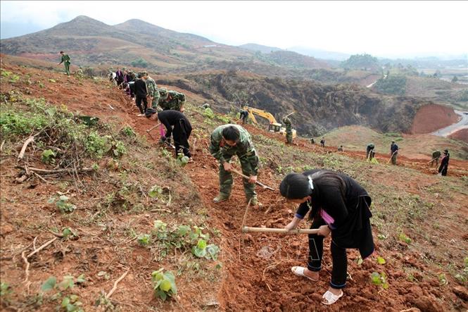 Quân đội tham gia các chương trình phát triển kinh tế - xã hội hướng về vùng sâu, vùng xa, vùng căn cứ kháng chiến, nơi khó khăn, phức tạp, giúp cơ sở giữ vững an ninh chính trị, trật tự an toàn xã hội, giảm nghèo. Trong ảnh: Cán bộ, chiến sĩ Trung đoàn 82 (Quân khu 2) tham gia làm đất trồng cao su cùng nhân dân xã Nậm Tăm, huyện Sìn Hồ, tỉnh Lai Châu. Ảnh: Xuân Trường – TTXVN
