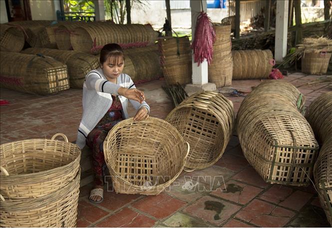 Trong ảnh: Đan sọt tại làng nghề đan cần xé ở ấp Chí Thành, xã Tân Thành (Tân Hiệp, Kiên Giang). Ảnh: Hồng Đạt - TTXVN
