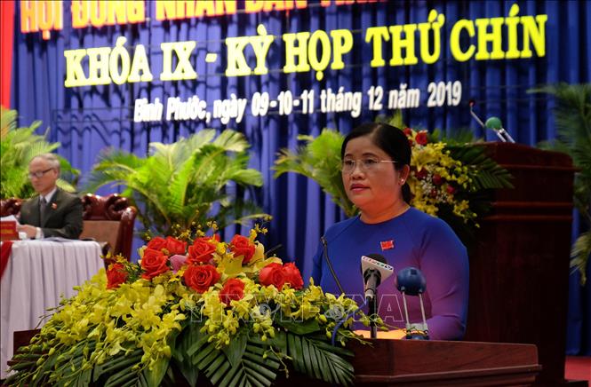 Trong ảnh: Bà Trần Tuệ Hiền phát biểu nhận nhiệm vụ mới.  Ảnh: Dương Chí Tưởng-TTXVN