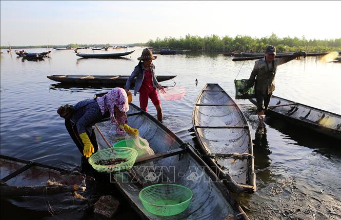 Trong ảnh: Hoạt động mua bán thuỷ sản tại chợ nổi Ngư Mỹ Thạnh, đầm Quảng Lợi. Ảnh: Hồ Cầu - TTXVN
