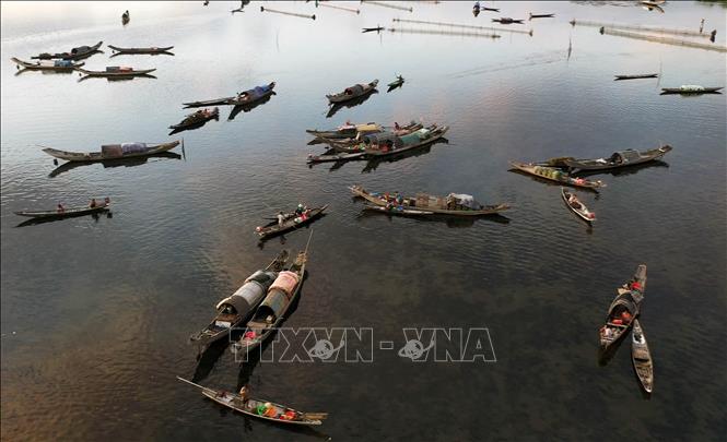 Trong ảnh: Thuyền bè của ngư dân sau một đêm đánh bắt thuỷ sản trên đầm tập trung về buôn bán trên chợ nổi Ngư Mỹ Thạnh, đầm Quảng Lợi. Ảnh: Hồ Cầu - TTXVN