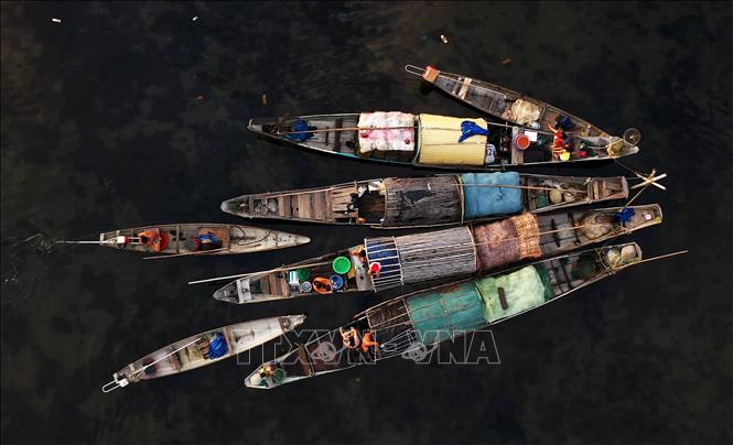 Trong ảnh: Thuyền bè của ngư dân sau một đêm đánh bắt thuỷ sản trên đầm tập trung về buôn bán trên chợ nổi Ngư Mỹ Thạnh, đầm Quảng Lợi. Ảnh: Hồ Cầu - TTXVN