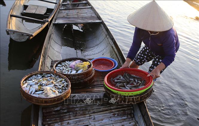 Trong ảnh: Thuỷ sản được bày bán tại chợ nổi Ngư Mỹ Thạnh, đầm Quảng Lợi. Ảnh: Hồ Cầu - TTXVN