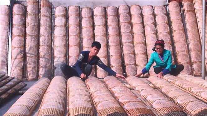 Trong ảnh: Trong những ngày nắng đẹp, người dân Thiệu Châu tranh thủ phơi bánh đa nem, tạo khung cảnh yên bình đậm chất thôn quê. Ảnh: Khiếu Tư - TTXVN

