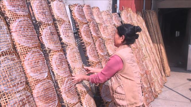 Trong ảnh: Trong sân, vườn phủ đầy những trành phơi bánh đa nem của người dân Thiệu Châu. Ảnh: Khiếu Tư - TTXVN

