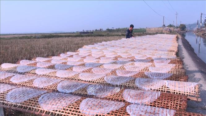 Trong ảnh: Bánh làm ra bắt buộc phải được phơi nắng tầm 30 phút đến 1 giờ, có ánh nắng, bánh sẽ nhanh ráo, khô và thơm. Ảnh: Khiếu Tư - TTXVN

