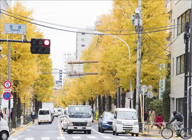 Một góc phố tại khu Sasazuka, quận Shibuya, thủ đô Tokyo. Ảnh: Thành Hữu/TTXVN tại Nhật Bản