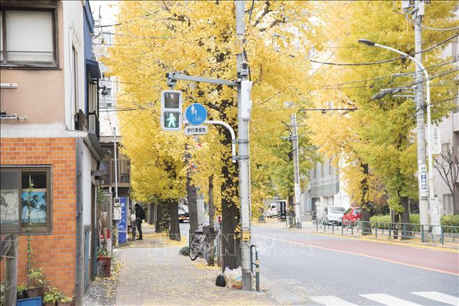 Một góc phố bình dị tại quận Shibuya, Tokyo, Nhật Bản.  Ảnh: Thành Hữu/TTXVN tại Nhật Bản.