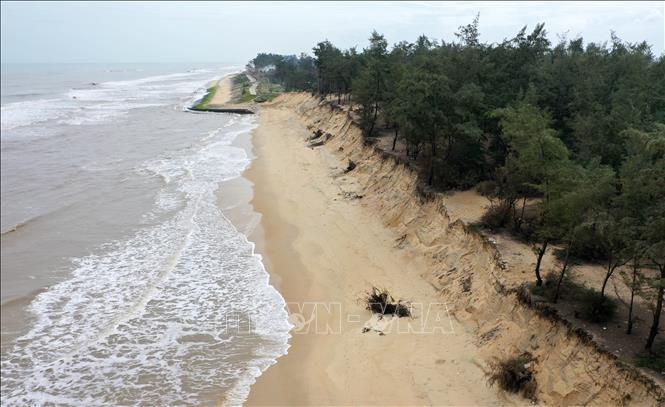 Trong ảnh: Bờ biển ở xã Phú Thuận giữa một đoạn đã xây kè bảo vệ và một đoạn chưa xây kè bị sạt lở mới chỉ qua một năm. Ảnh: Hồ Cầu-TTXVN