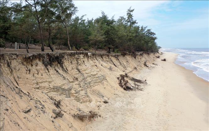Trong ảnh: Bờ biển bị sạt lở ở xã Phú Thuận. Ảnh: Hồ Cầu-TTXVN