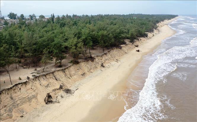 Trong ảnh: Bờ biển bị sạt lở ở xã Phú Thuận. Ảnh: Hồ Cầu-TTXVN