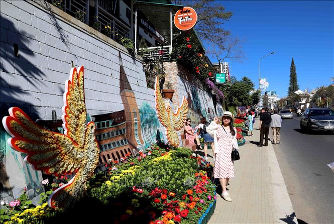 Trong ảnh: Không gian hoa dọc trục đường Lê Đại Hành (TP Đà Lạt) hấp dẫn du khách. Ảnh: Nhật Anh - TTXVN