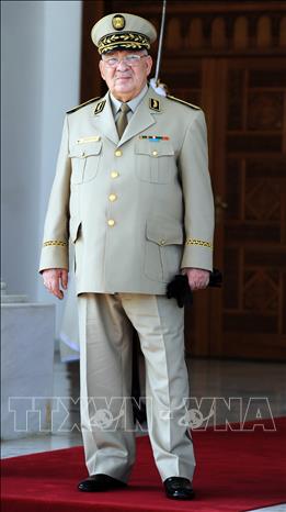 Trong ảnh (tư liệu): Tổng Tham mưu trưởng quân đội Algeria, Tướng Ahmed Gaid Salah trước cuộc gặp Bộ trưởng Quốc phòng Pháp ở Algiers. Ảnh: AFP/TTXVN