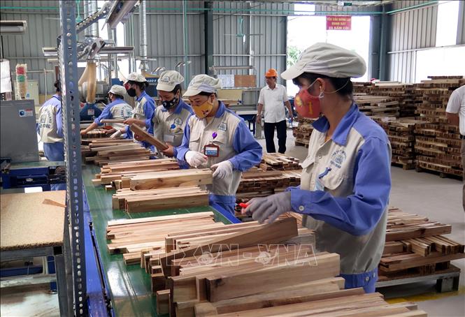 Photo: A production line at the Woodsland Joint Stock Company in the northern province of Tuyen Quang. VNA Photo: Quang Đán