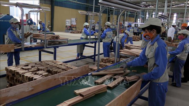 Photo: A production line at the Woodsland Joint Stock Company in the northern province of Tuyen Quang. VNA Photo: Quang Đán