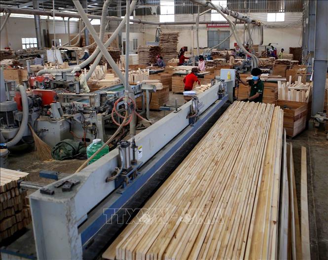 Photo: A wood processing factory of the Da Lat Forestry Product Exploitation and Processing Co. Ltd in the Central Highlands province of Lam Dong. VNA Photo: Vũ Sinh