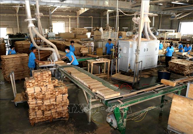 Photo: A wood processing factory of the Da Lat Forestry Product Exploitation and Processing Co. Ltd in the Central Highlands province of Lam Dong. VNA Photo: Vũ Sinh