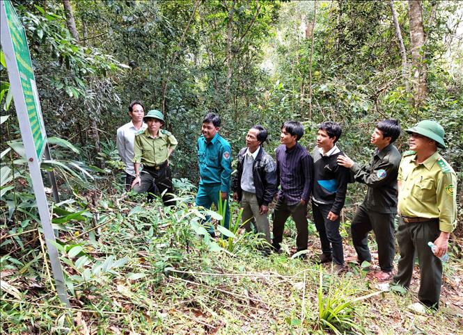 Trong ảnh: Cán bộ kiểm lâm và bà con nhận khoán bảo vệ rừng tại khu vực rừng của làng Đê KJiêng, xã Ayun, huyện Mang Yang, tỉnh Gia Lai. Ảnh: Dư Toán - TTXVN