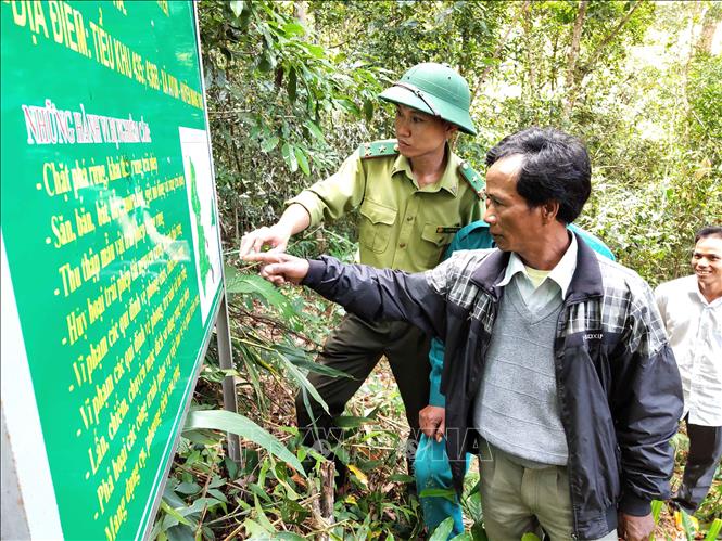 Trong ảnh: Cán bộ kiểm lâm và bà con nhận khoán bảo vệ rừng tại khu vực rừng của làng Đê KJiêng, xã Ayun, huyện Mang Yang, tỉnh Gia Lai. Ảnh: Dư Toán - TTXVN