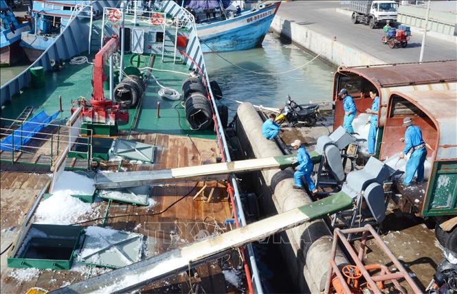 Bà Rịa-Vũng Tàu: Chủ tàu 67 lo lắng vì không mua được bảo hiểm