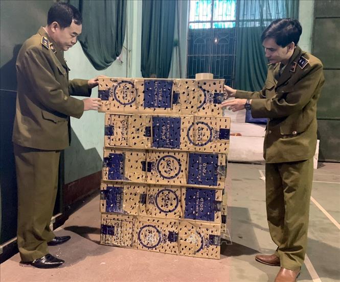 Trong ảnh: Lực lượng chức năng tỉnh Vĩnh Phúc tịch thu số chim chào mào không rõ nguồn gốc nhốt trong thùng carton. Ảnh: Đồng Thúy- TTXVN
