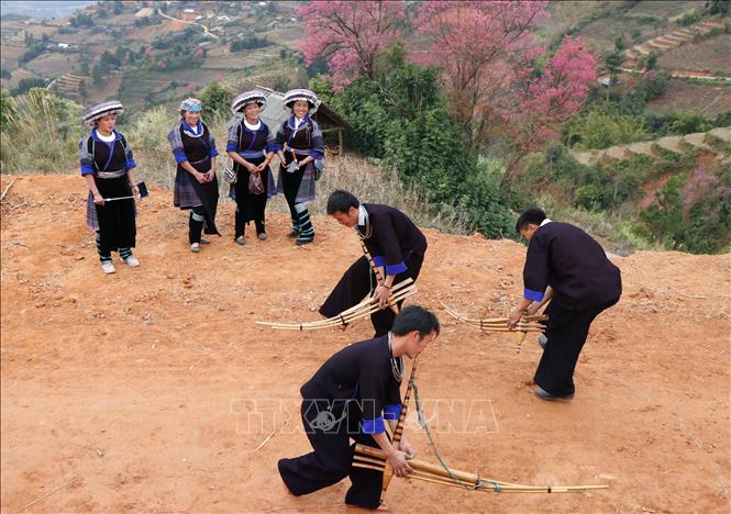 Trong ảnh: Ngày Tết đến xuân về, những người đàn ông Mông ở Mù Cang Chải đều mang theo khèn và biểu diễn những điệu múa khèn mạnh mẽ thể hiện sự trai tráng của mình dưới gốc hoa Tớ Dày. Ảnh: Tuấn Anh - TTXVN