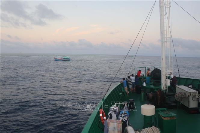 Trong ảnh: Tàu cá của ngư dân các tỉnh đang khai thác tại ngư trường Trường Sa. Ảnh: Nguyễn Văn Nhật - TTXVN