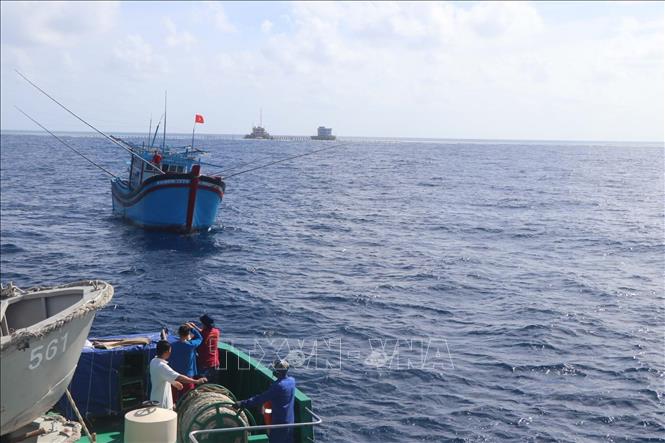 Trong ảnh: Tàu cá của ngư dân các tỉnh đang khai thác tại ngư trường Trường Sa. Ảnh: Nguyễn Văn Nhật - TTXVN