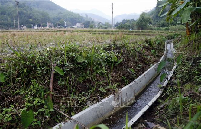 Trong ảnh: Một đoạn kênh mương bằng cấu kiện bê tông đúc sẵn ở xã Thái Bình, huyện Yên Sơn (Tuyên Quang) mới được lắp đặt. Ảnh Quang Đán - TTXVN