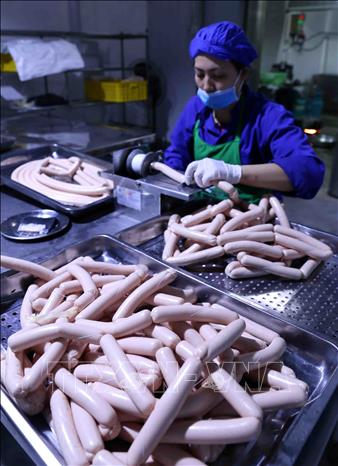 Trong ảnh: Sản xuất sản phẩm xúc xích tại xưởng chế biến của Hợp tác xã Hoàng Long. Ảnh: Vũ Sinh - TTXVN