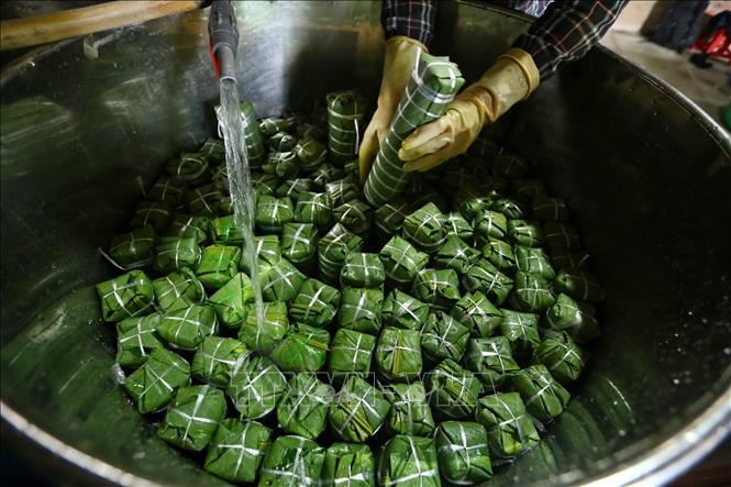 Trong ảnh: Bánh sau khi gói xong được xếp vào nồi luộc. Những năm gần đây, nhiều hộ đã đổi dần bếp than sang bếp điện để luộc bánh. Ảnh: Minh Quyết – TTXVN