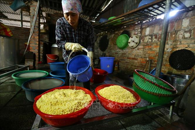 Trong ảnh: Đậu xanh cũng được chọn lọc kỹ lưỡng và được ngâm 3 giờ trước khi gói bánh. Ảnh: Minh Quyết - TTXVN