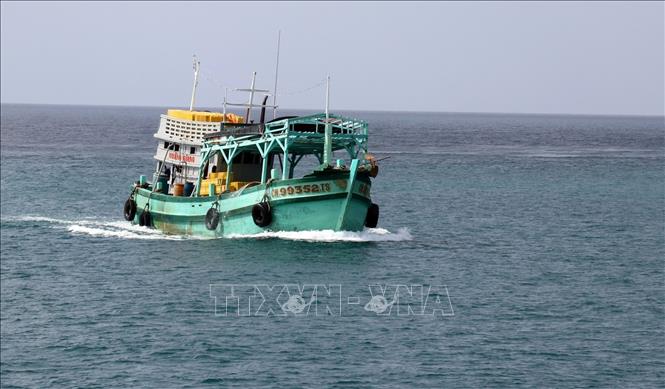 Trong ảnh: Tàu dịch vụ hậu cần nghề cá trên vùng biển Phú Quốc (Kiên Giang). Ảnh: Lê Huy Hải - TTXVN