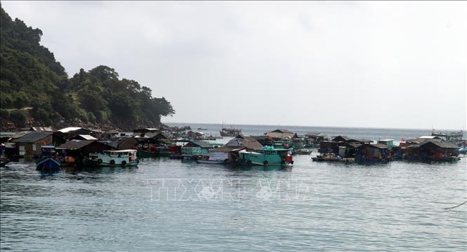 Trong ảnh: Nuôi cá lồng bè trên vùng biển đảo Thổ Chu, huyện Phú Quốc (Kiên Giang). Ảnh: Lê Huy Hải - TTXVN