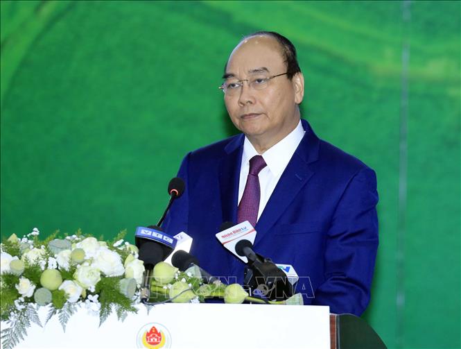 Trong ảnh: Thủ tướng Nguyễn Xuân Phúc phát biểu. Ảnh: Thống Nhất- TTXVN
