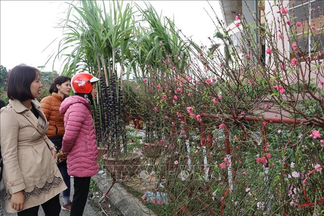 Trong ảnh: Người dân tham quan, mua sắm tại chợ hoa và cây cảnh Xuân - Ninh Bình 2020. Ảnh: Đức Phương - TTXVN