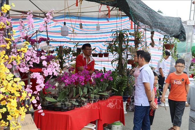 Trong ảnh: Người dân tham quan, mua sắm tại chợ hoa và cây cảnh Xuân - Ninh Bình 2020. Ảnh: Đức Phương - TTXVN