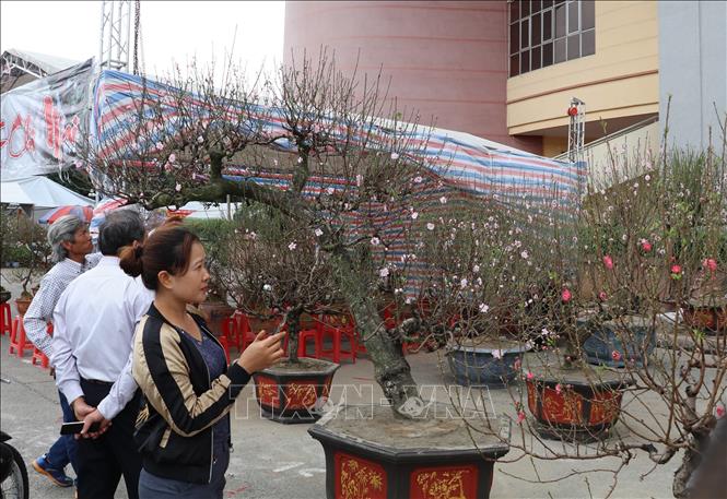 Trong ảnh: Người dân tham quan chợ hoa và cây cảnh Xuân - Ninh Bình 2020. Ảnh: Đức Phương - TTXVN